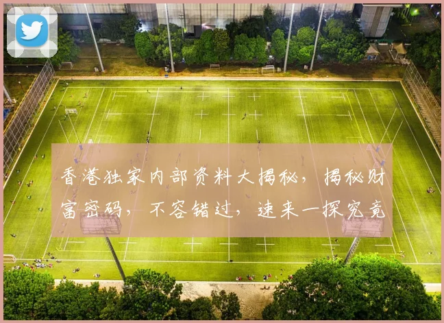 香港独家内部资料大揭秘，揭秘财富密码，不容错过，速来一探究竟