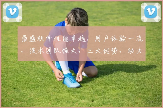 鼎盛软件性能卓越，用户体验一流，技术团队强大，三大优势，助力企业腾飞，不容错过