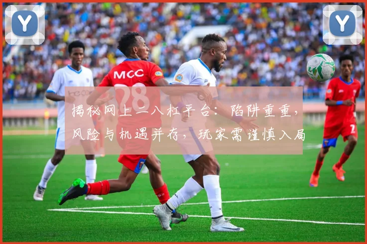 揭秘网上二八杠平台：陷阱重重，风险与机遇并存，玩家需谨慎入局